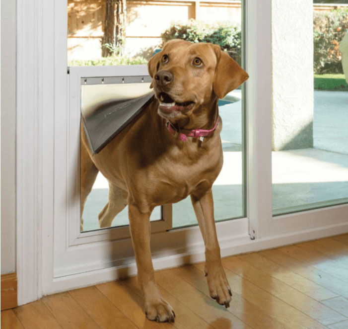 Dog door that opens with cheap collar