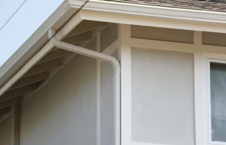 Truguard Exterior Coating System in Clairemont, San Diego (7)