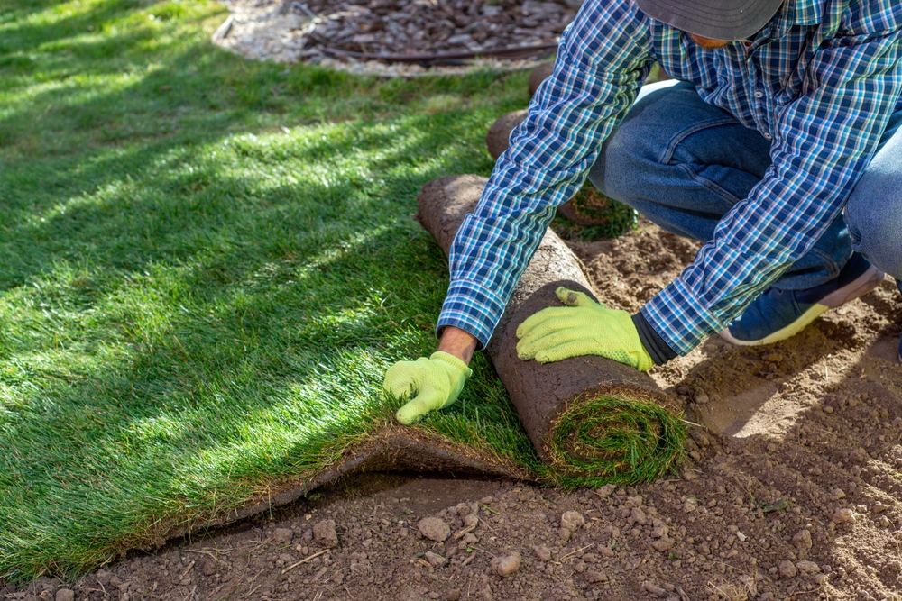 How Artificial Turf and Paver Systems Can Save Water and Elevate Outdoor Spaces
