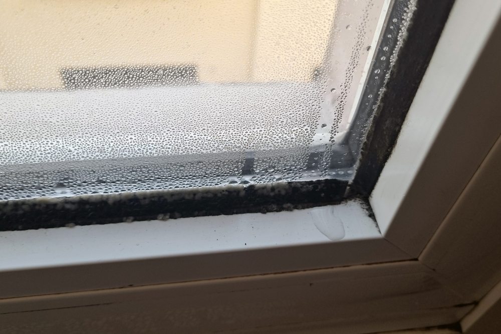 5 Signs Your Windows Are Hurting Your Home’s Efficiency