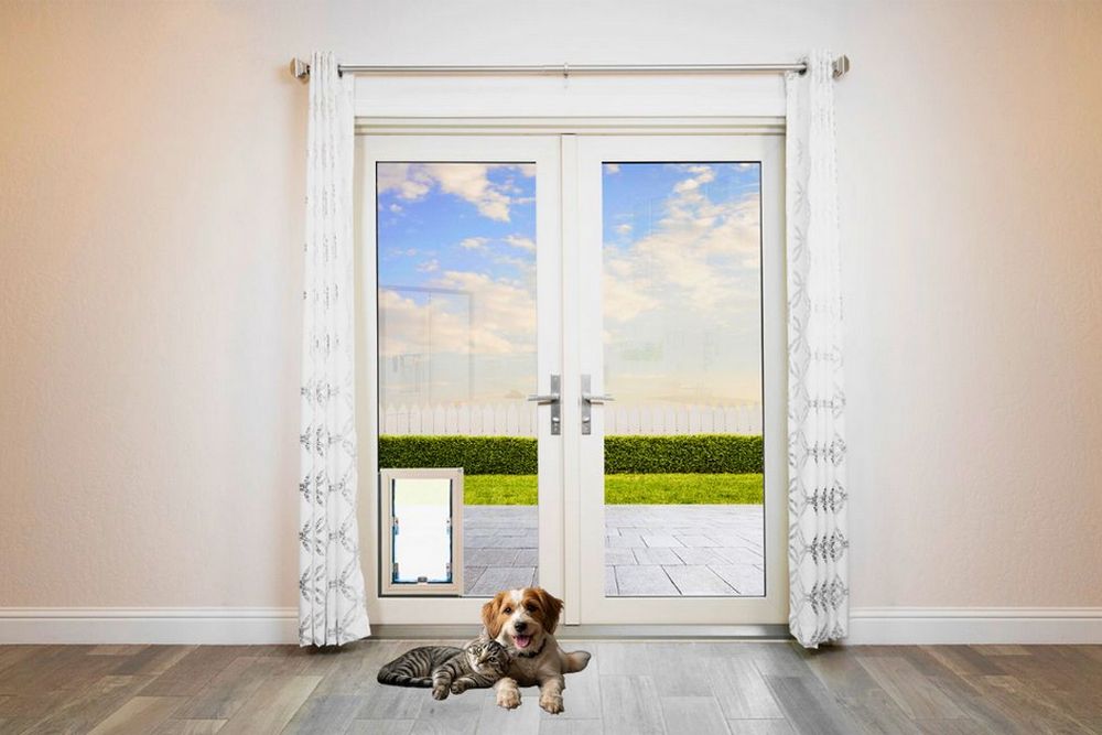 Why Insulated Pet Doors Improve Comfort Without Sacrificing Efficiency